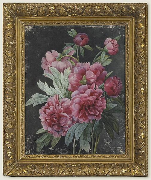 Peonies