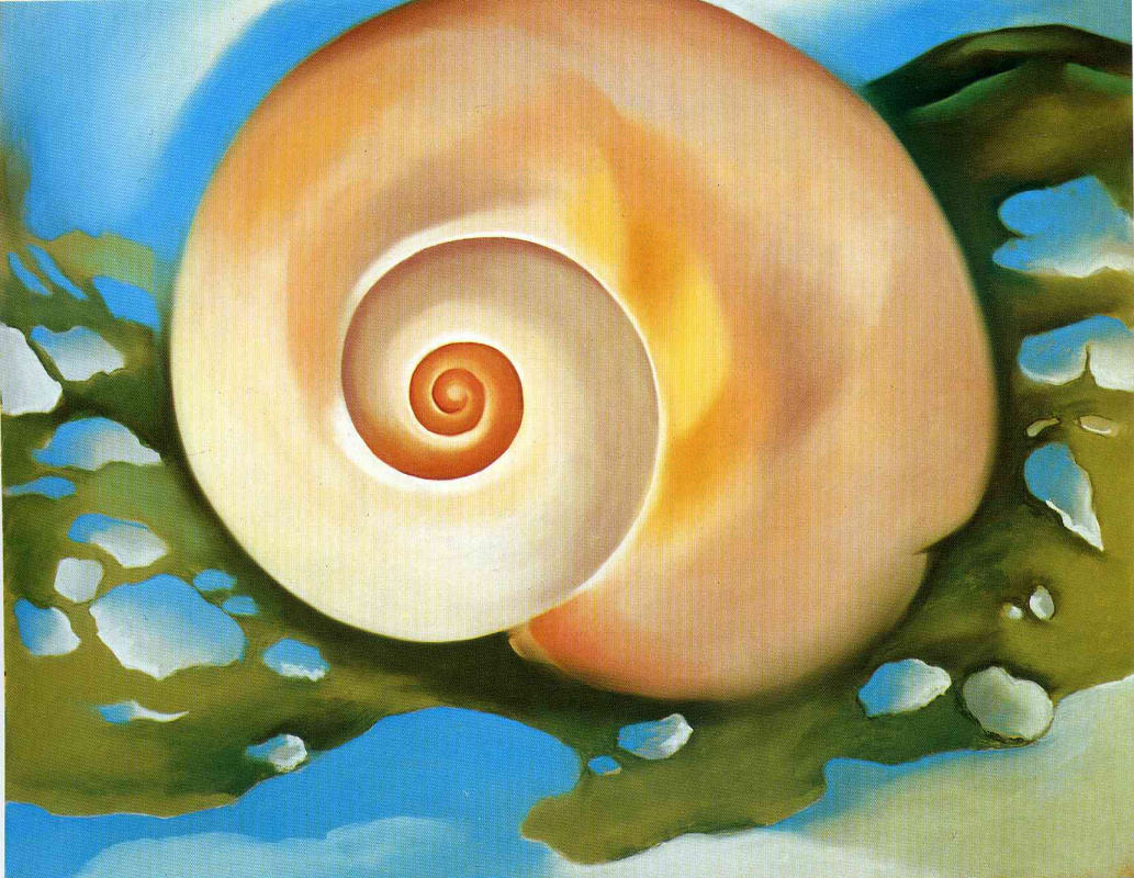 Georgia O'Keefe. The snail and the algae
