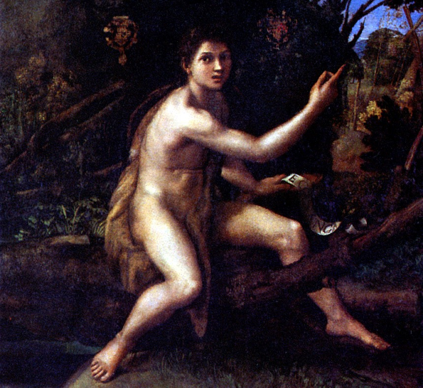 Raphael Sanzio. St. John the Baptist in the wilderness