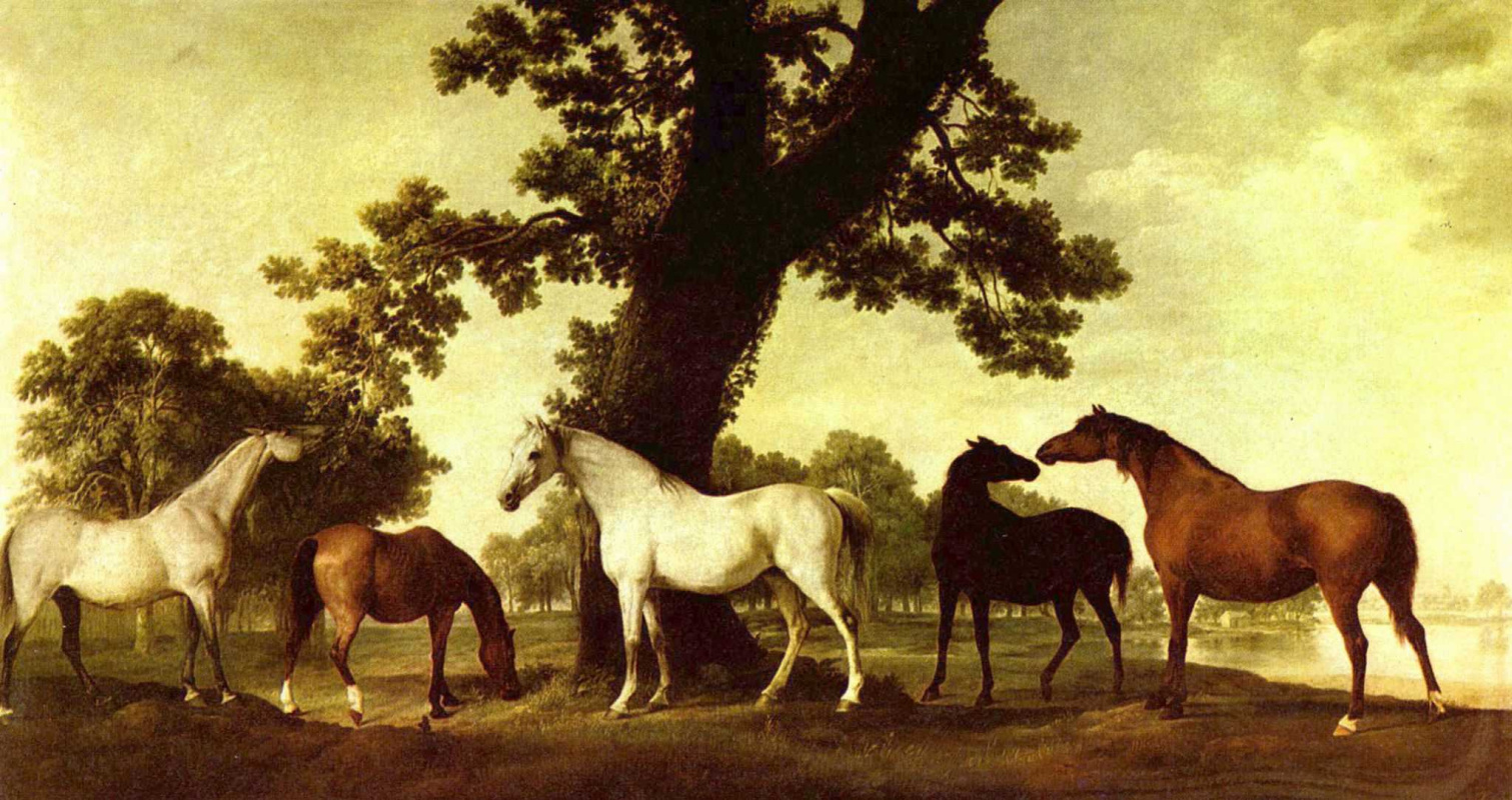 George Stubbs. Horse in a landscape