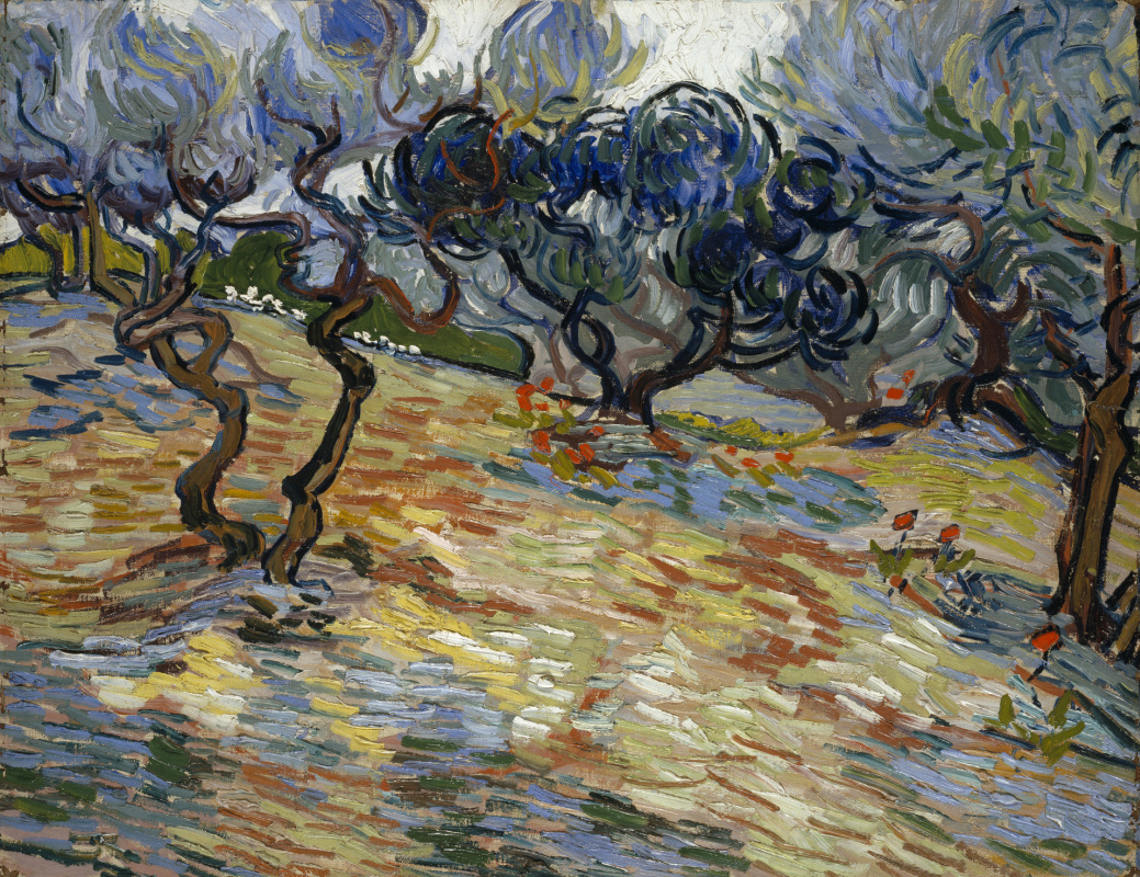 Vincent van Gogh. Olive trees: bright blue sky