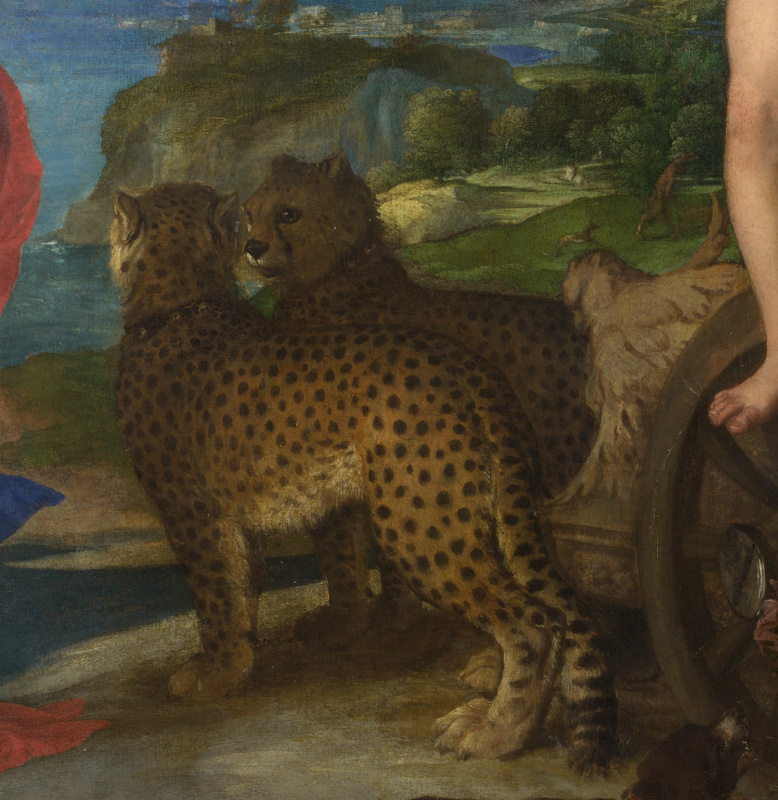 Bacchus and Ariadne. Fragment 1. A wagon pulled by cheetahs