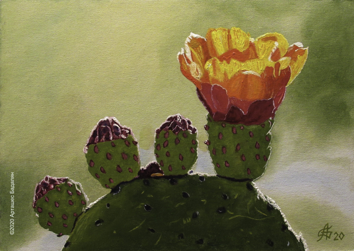 Artashes Badalyan. Blooming cacti-3 - x-hardboard-m - 25x35