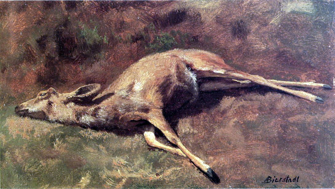 Albert Birštadt. A forest dweller. The picture of the dead deer