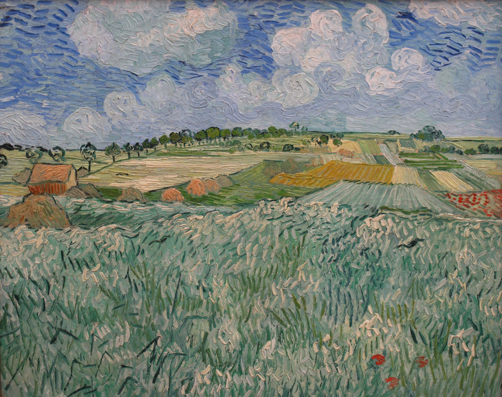 Vincent van Gogh. Field have Aviera