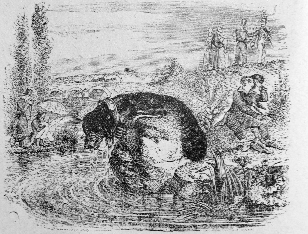 Jean Ignace Isidore Gérard Grandville. A dog and its reflection. Illustrations to the fables of Jean de Lafontaine