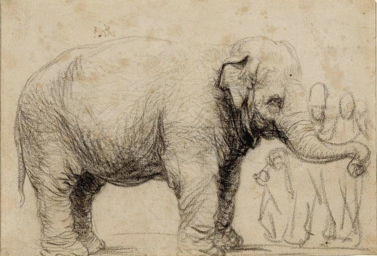 Rembrandt Harmenszoon van Rijn. An Asian elephant