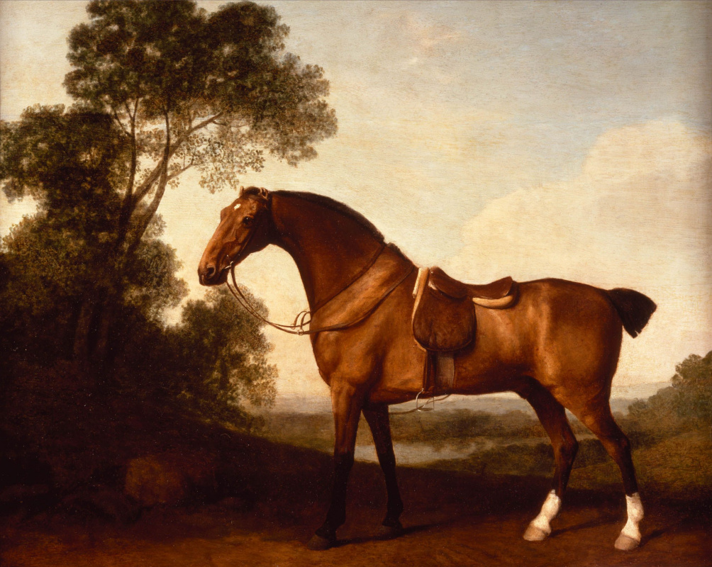 George Stubbs. Horse