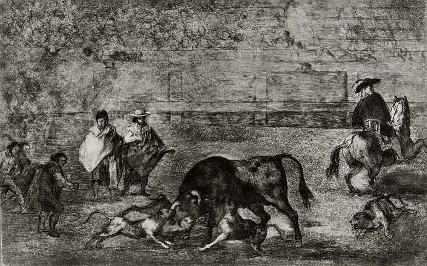 Francisco Goya. Series Tavromahiya sheet: Dogs attack the bull