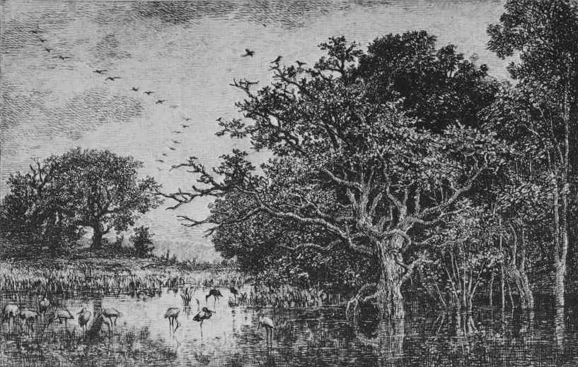Charles-Francois Daubigny. Marsh with storks