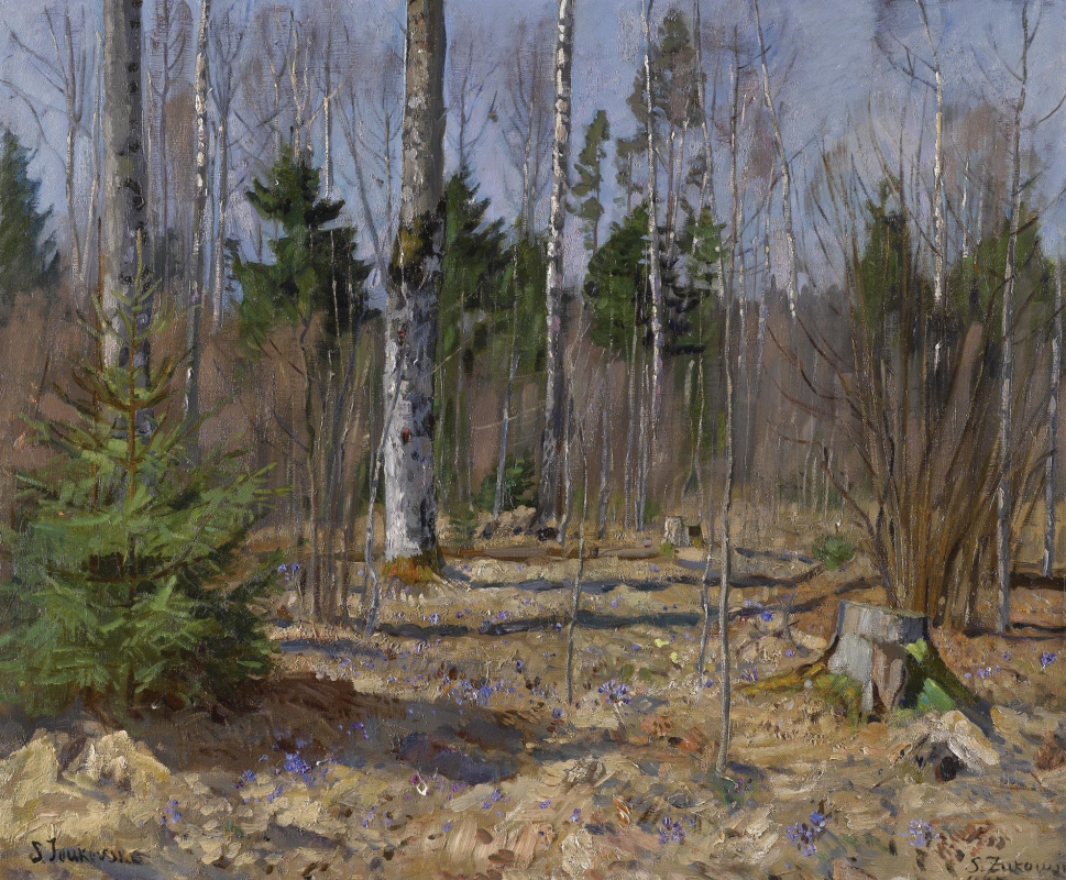 Stanislav Yulianovich Zhukovsky. Spring landscape