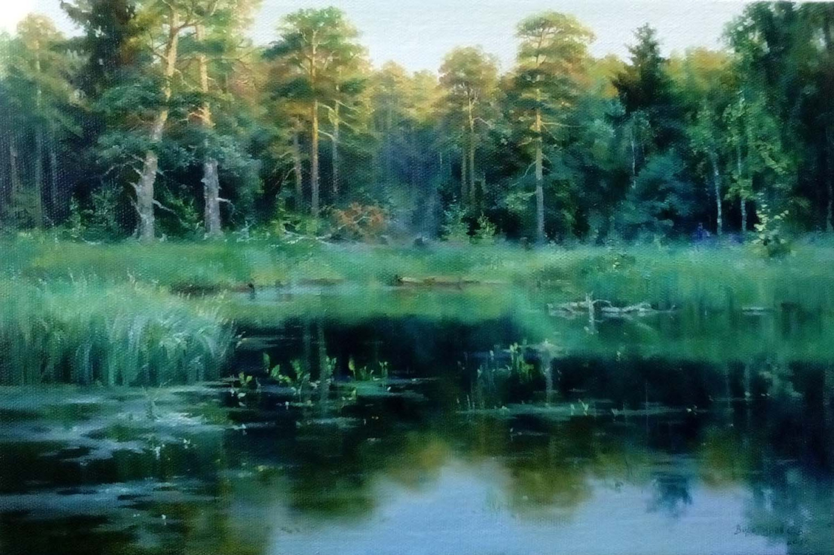 Sergey Vladimirovich Vorotilov. Mindovsky pond