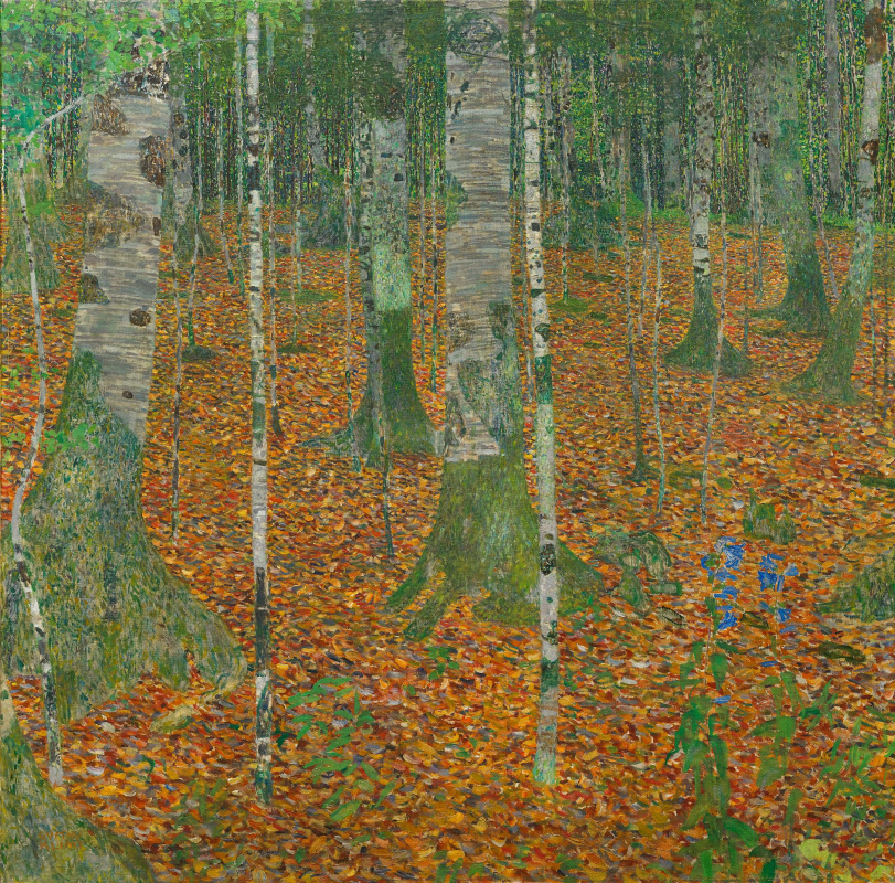 Gustav Klimt. Birch forest
