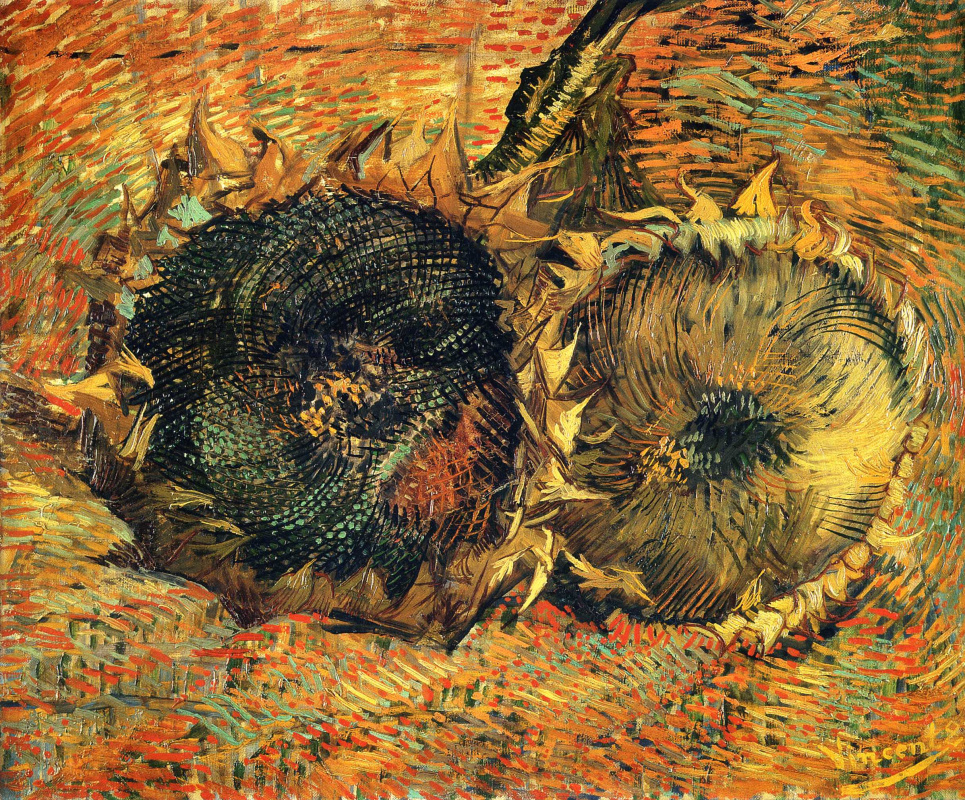 Vincent van Gogh. Two sunflower