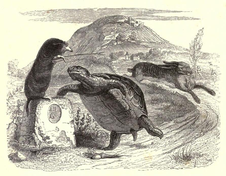 Jean Ignace Isidore Gérard Grandville. Mole, Hare and Tortoise