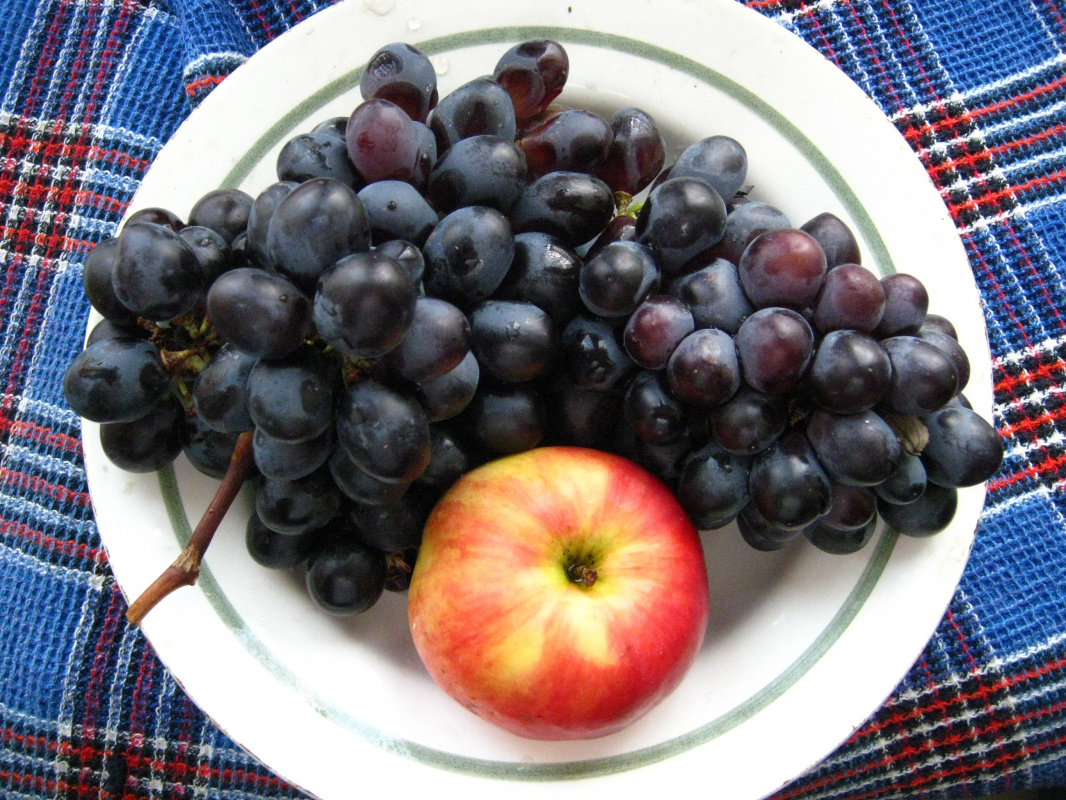 Alexey Grishankov (Alegri). Apfel und Trauben