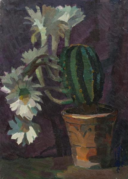 Mikhail Vladimirovich Nadezhdin. The cactus blooms