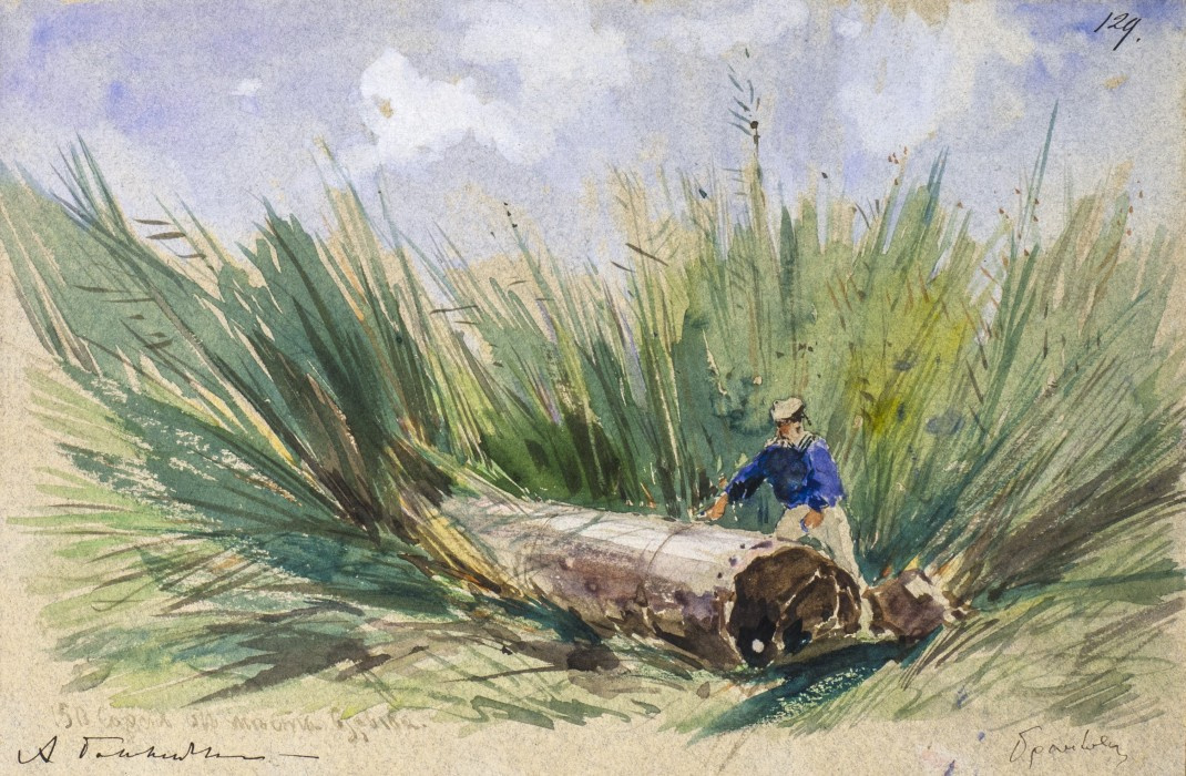 Alexey Petrovich Bogolyubov. Monitor tube in brailovskiy reeds