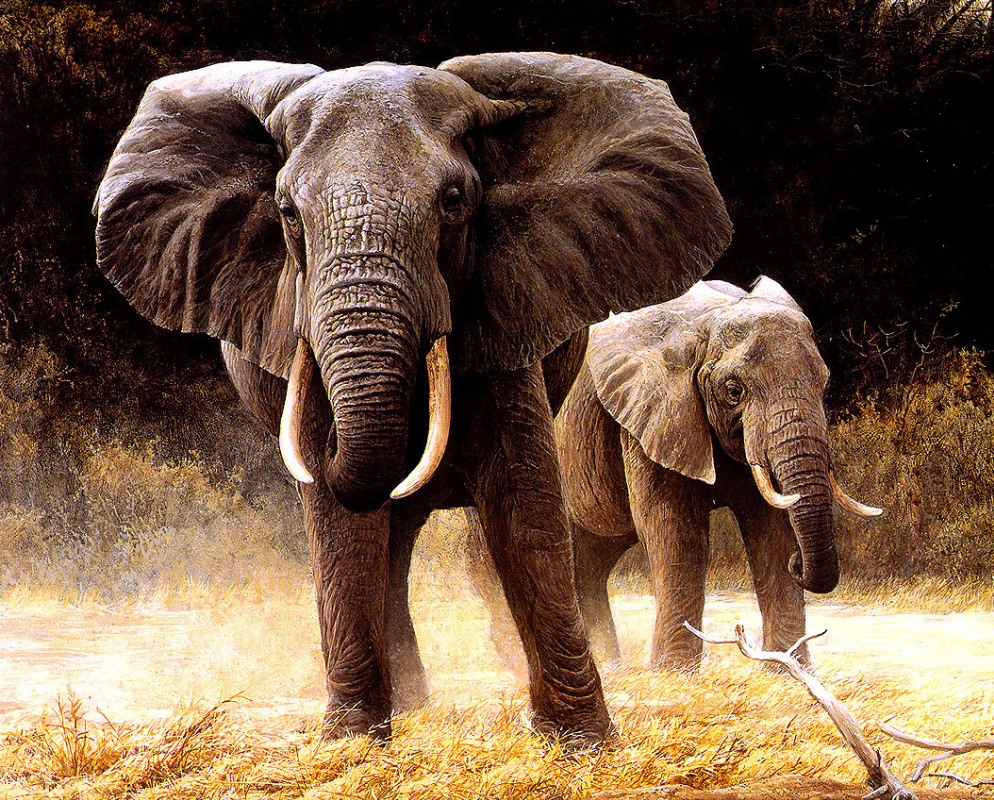 Robert Bateman. Elephants Safari