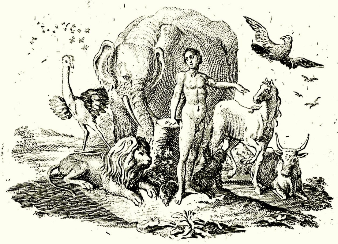 Daniel Nicholas Hodowiecki. Illustration for the first part of the "Natural history" Buffon