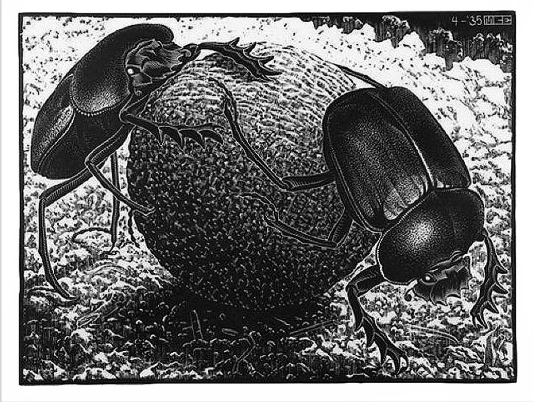 Maurits Cornelis Escher. Scarabs