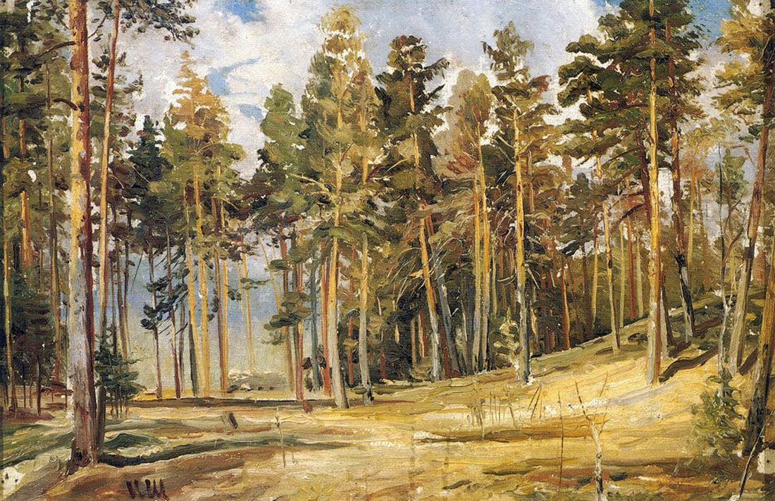 Ivan Shishkin. Pine. Sunny day