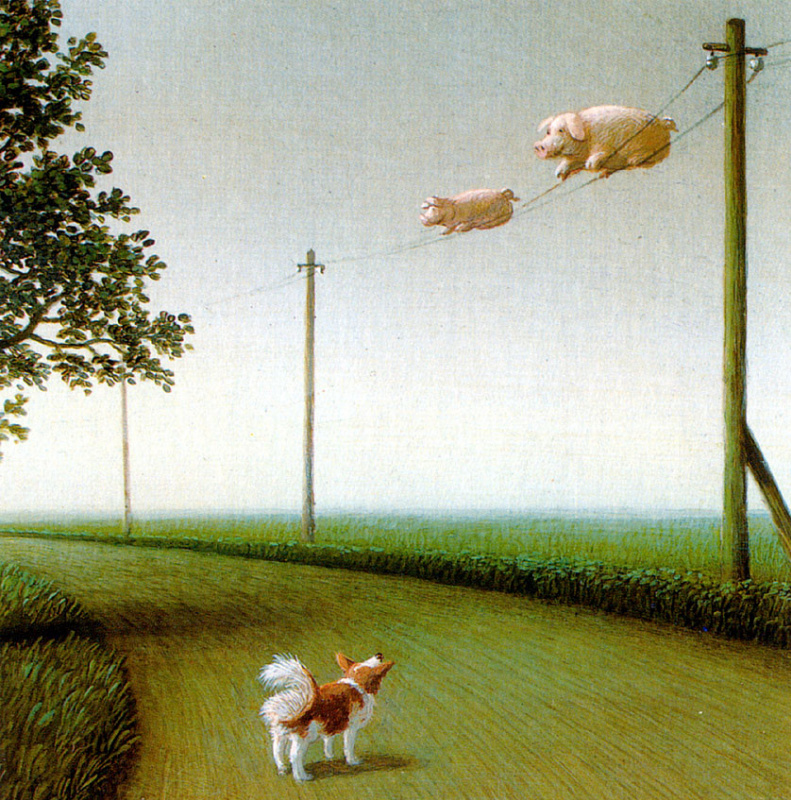 Michael Owl. The collection of migratory pigs