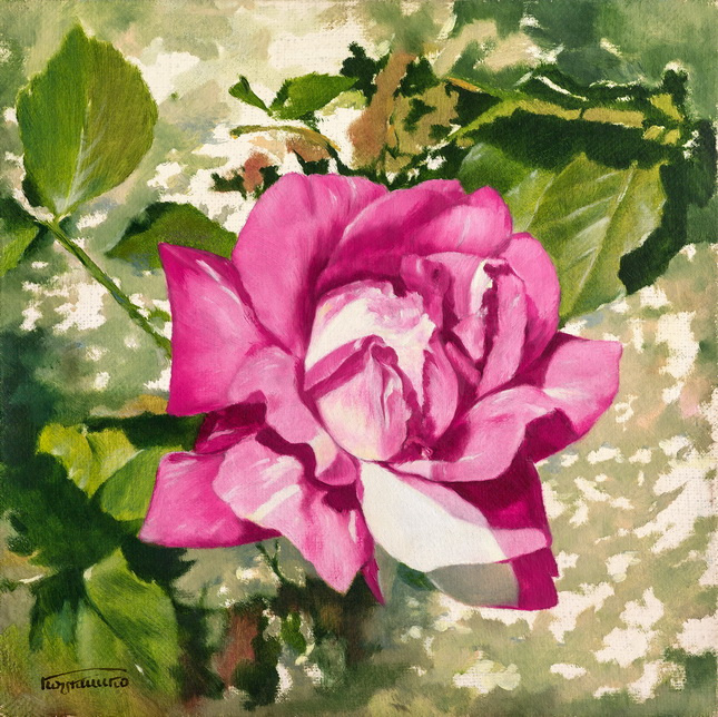 Vasily Anatolyevich Korkishko. Rose