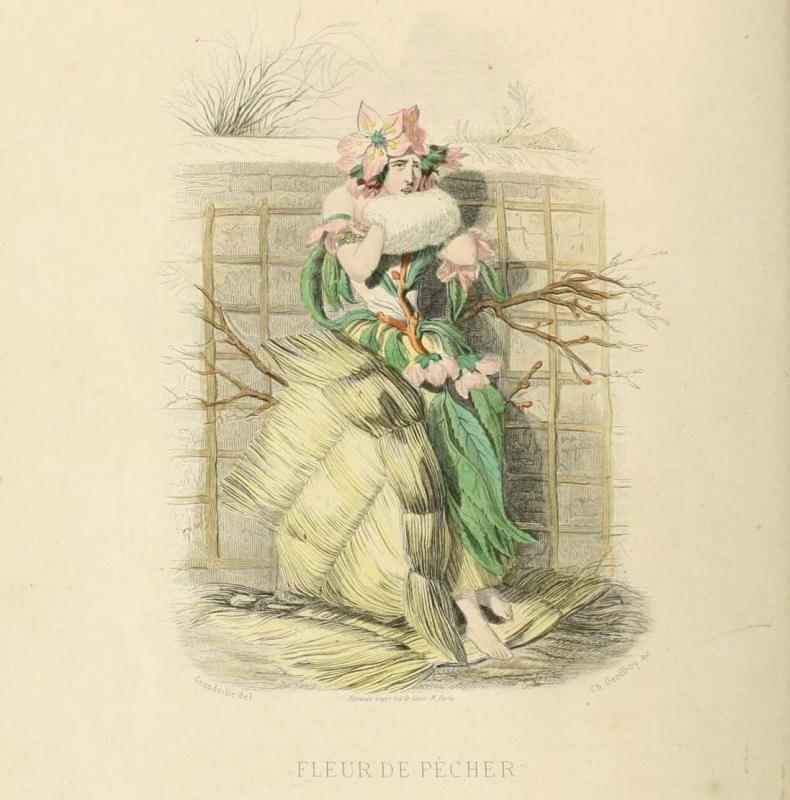 Jean Ignace Isidore Gérard Grandville. Peach blossom. The series "Animate Flowers"