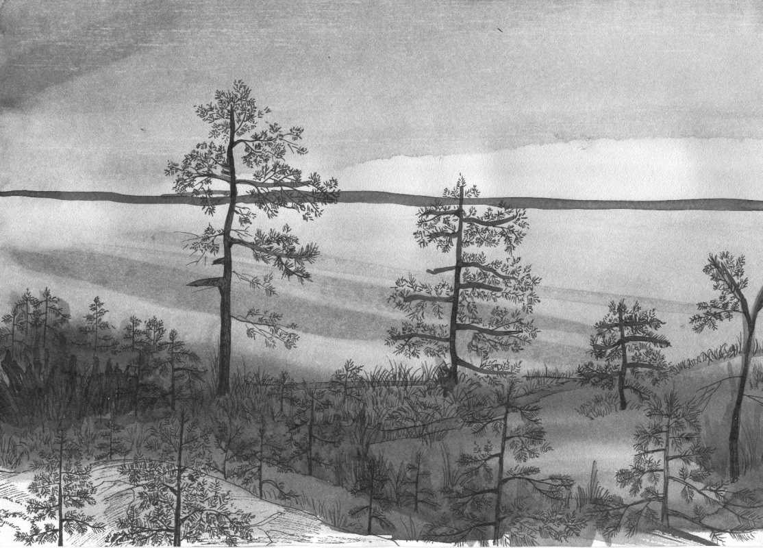 Marina Bocharova. Pines on the lake