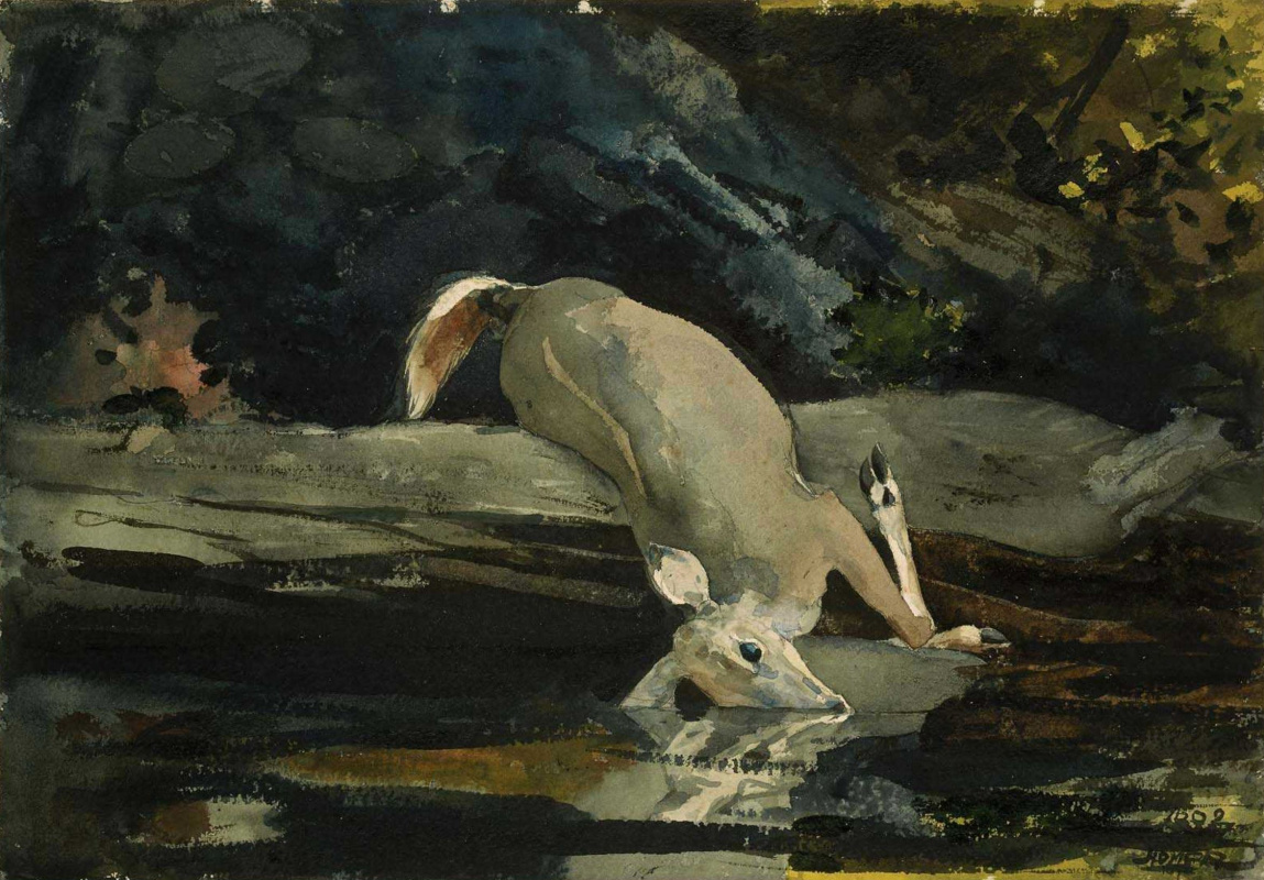 Winslow Homer. The fallen deer