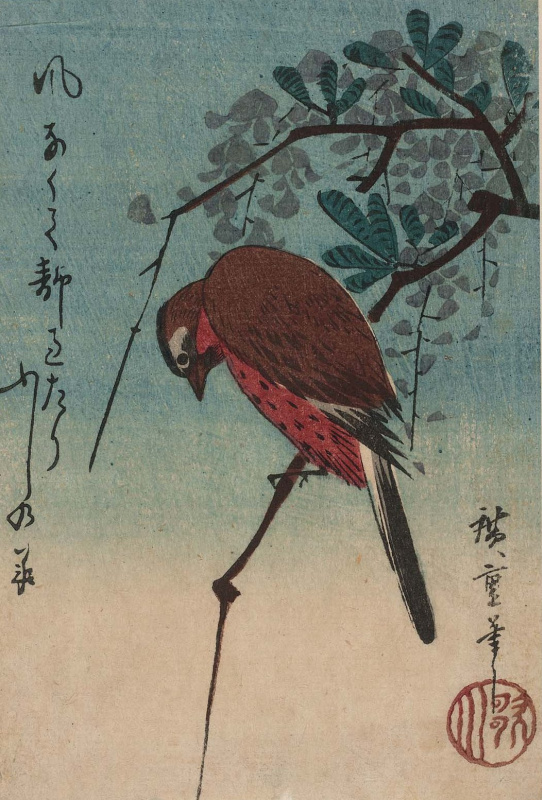 Utagawa Hiroshige. Bird on a branch of Wisteria