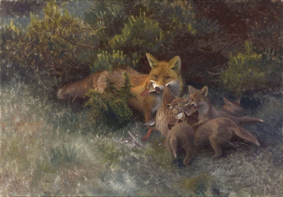 Bruno Liljefors. Fox family