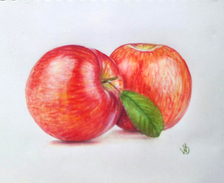 Sophie Wasilewska. Red apples