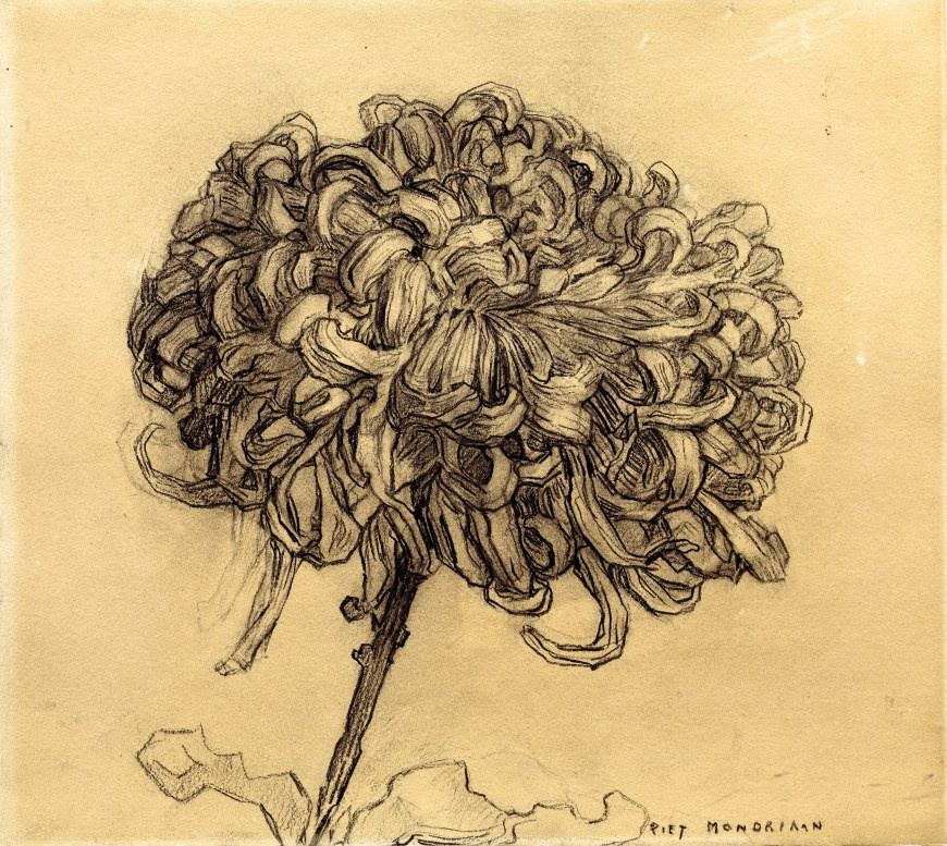 Piet Mondrian. Crisantemo