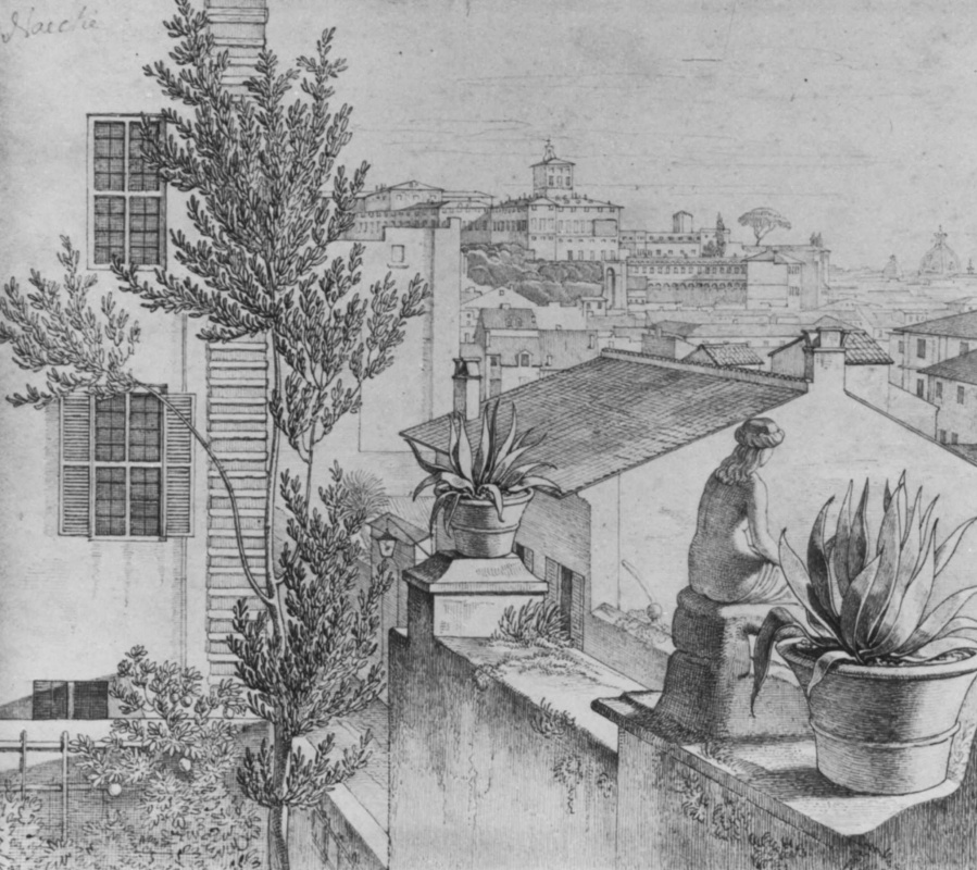 Густав Генрих Неке. Вид на Рим с крыши
