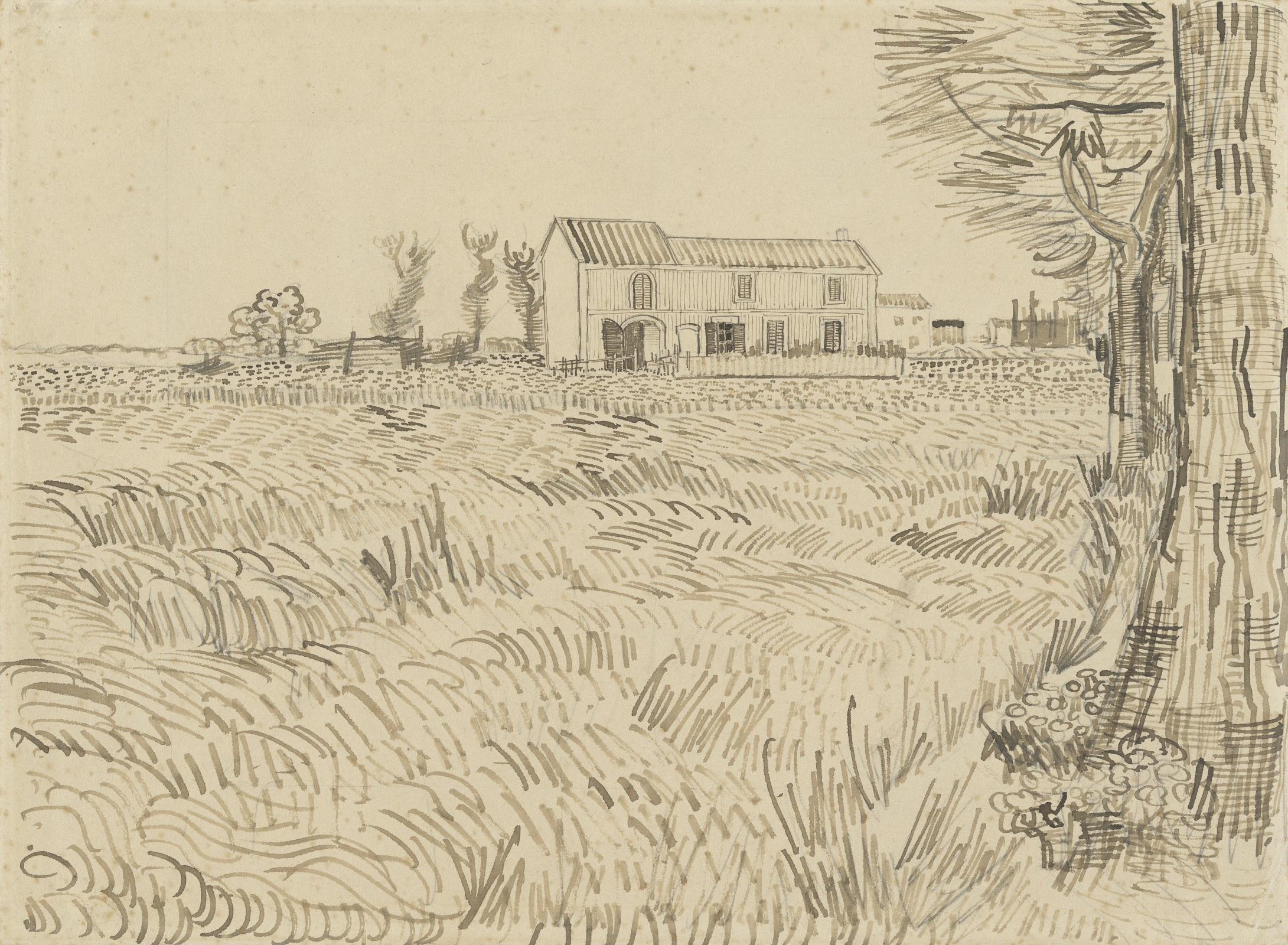 Farmhouse In A Wheat Field By Vincent Van Gogh History Analysis