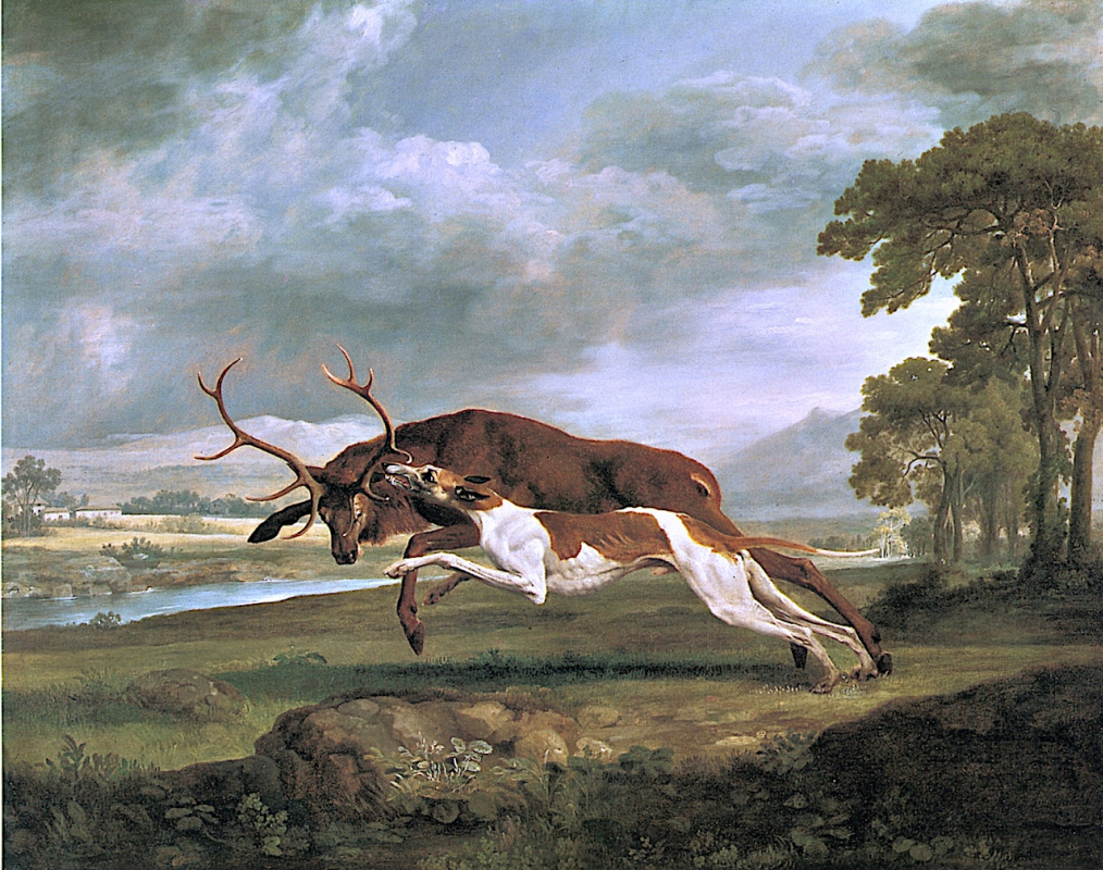 George Stubbs. Hound attacking stag