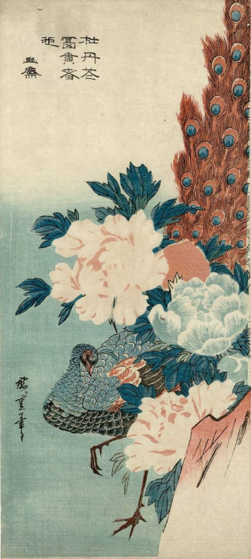 Utagawa Hiroshige. Peacock hiding behind a rock and flowering peonies