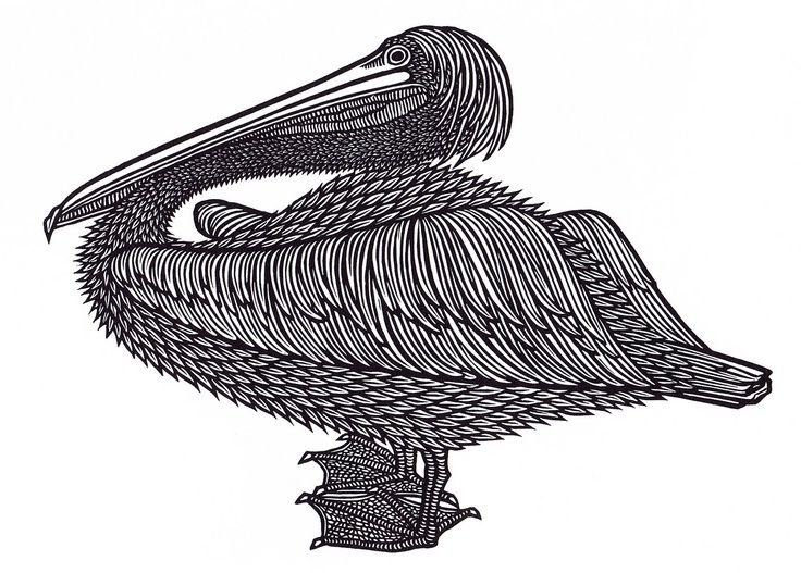 Yakov Gnizdowski. Pelican