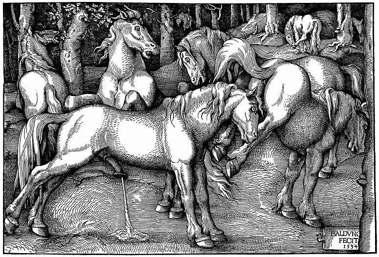 Hans Baldung. Kicking stallion and a Mare among the wild horses in the forest
