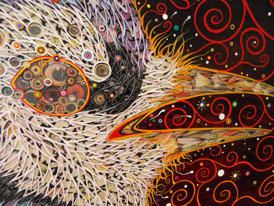 Fred Tomaselli. Parcela 8 (Aves)
