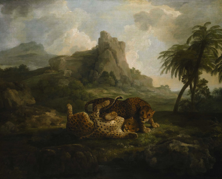 George Stubbs. Game leopards