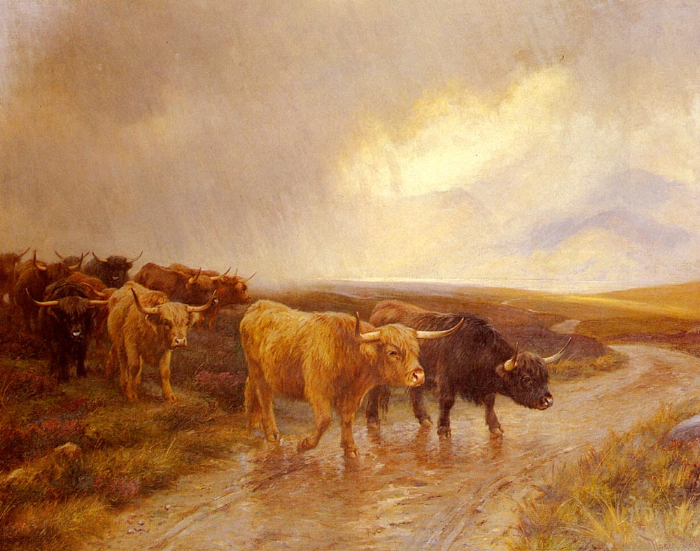 Wright Barker. Cattle in the highlands