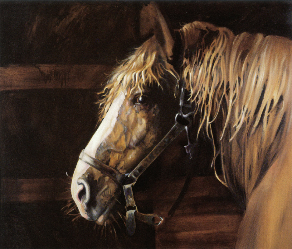 Nancy Noel. Belgian horse