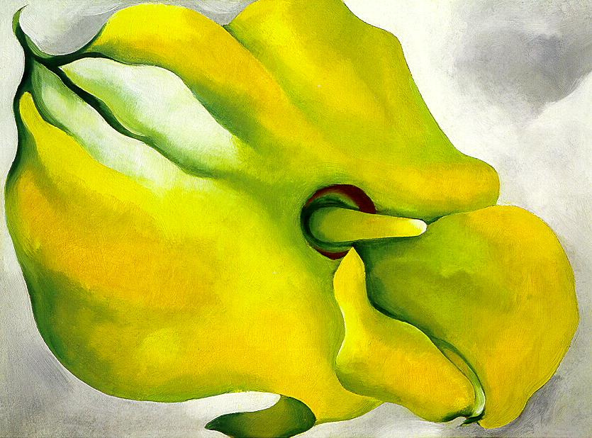 Georgia O'Keefe. Yellow Canna