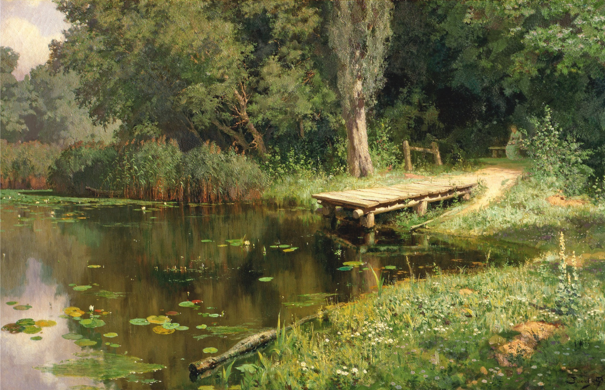 Overgrown pond