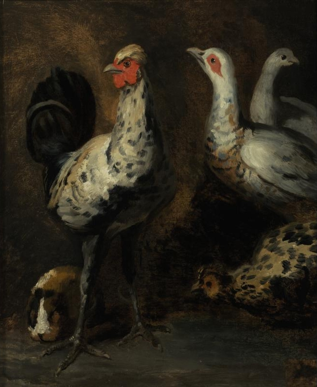 Теодор Жерико. Петух, три курицы и морская свинка