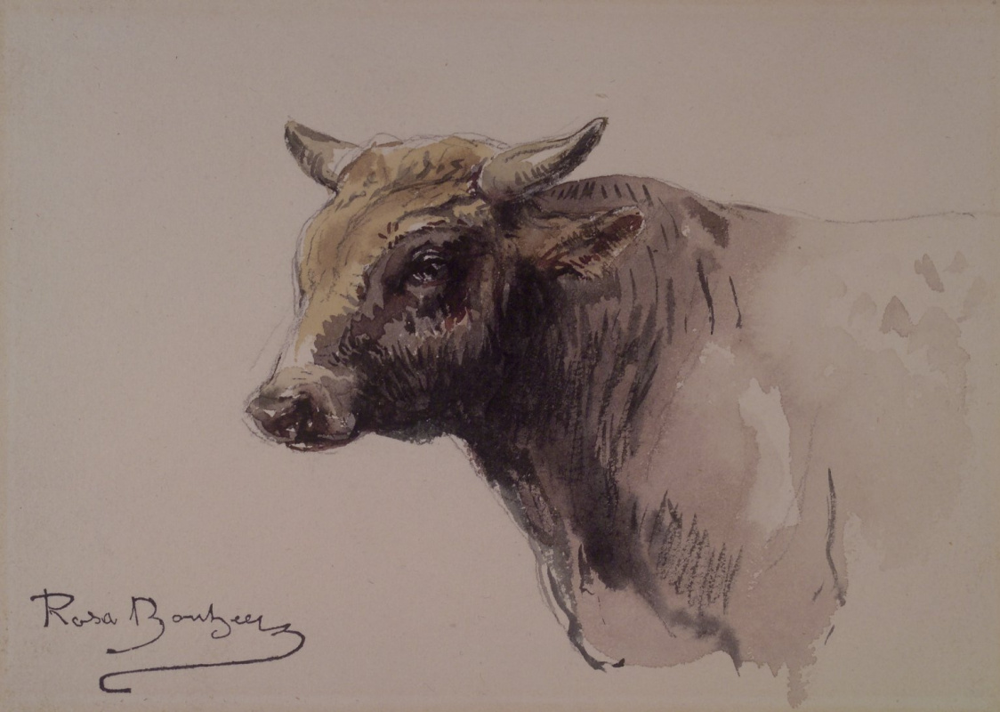 Rose Bonhur. The bull's head