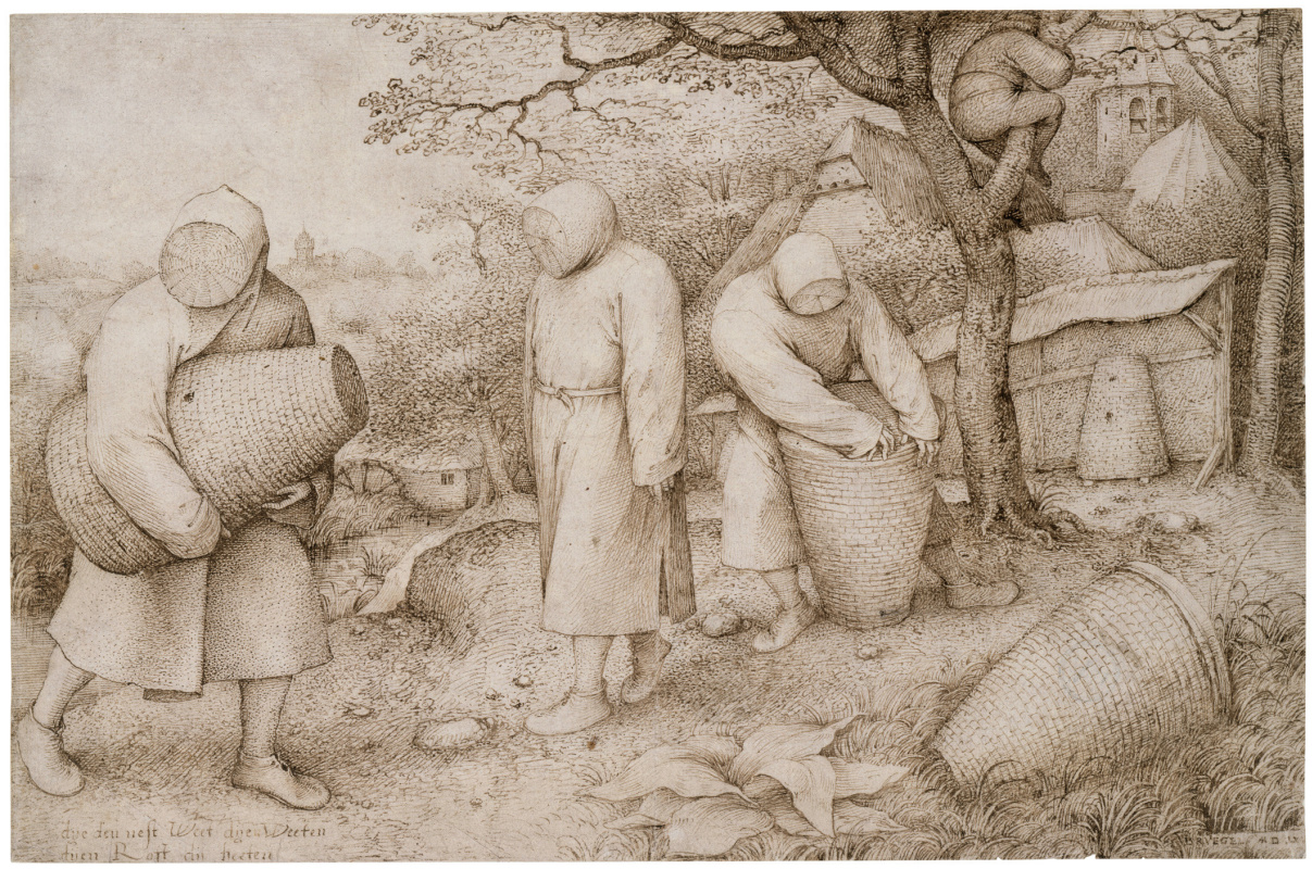 Pieter Bruegel The Elder. Пчеловоды